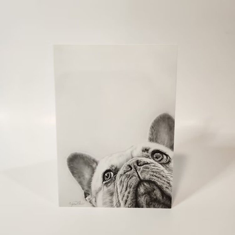 Crystal Clarke Animal Art "I See You" French Bulldog | Greeting Card