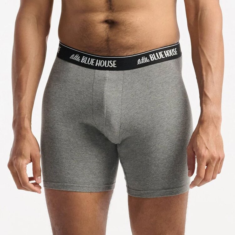 Little Blue House by Hatley Nice Dink | Boxer Briefs