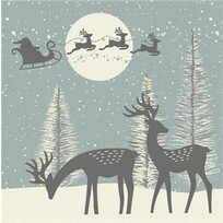 Daisy Napkins Santa + Deer | Paper Napkins