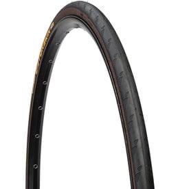 Continental Gatorskin Tire - 700 x 25, Clincher, Wire, Black, 180tpi