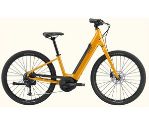 リカンベント bike E cannondale Tartaruga リカンベント bike E cannondale Tartaruga Cannondale Electric
