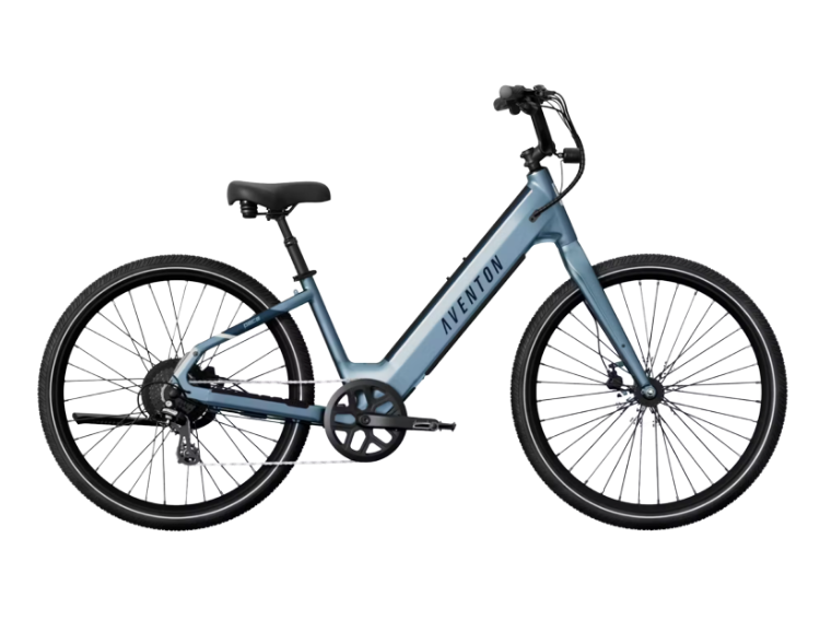Sarasota Electric Bike