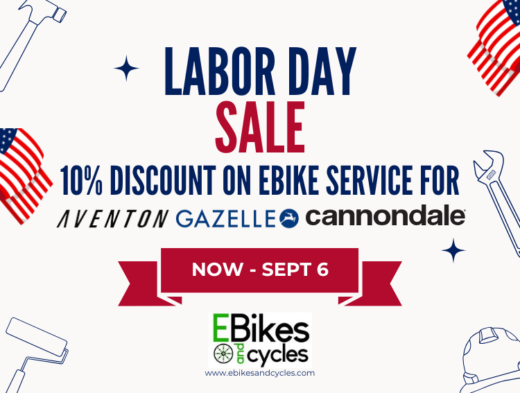 Electric Bike Service near Bradenton