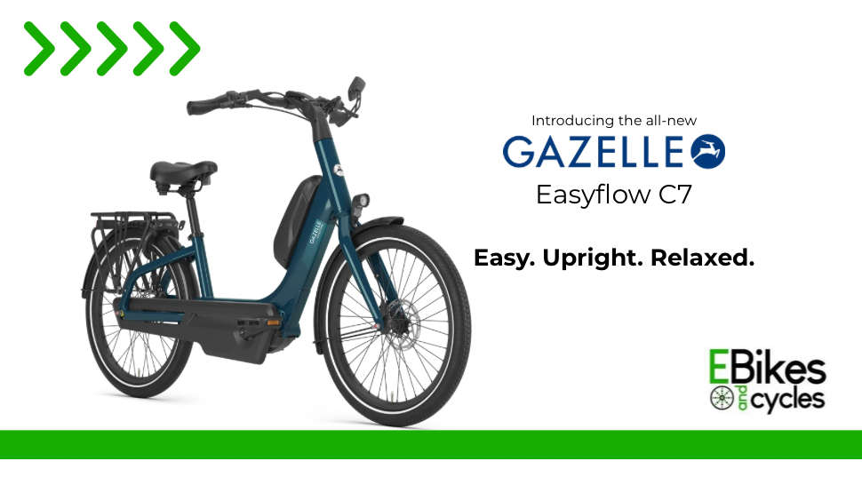 Sarasota Electric Bike