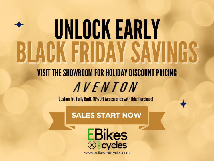 Sarasota Electric Bike