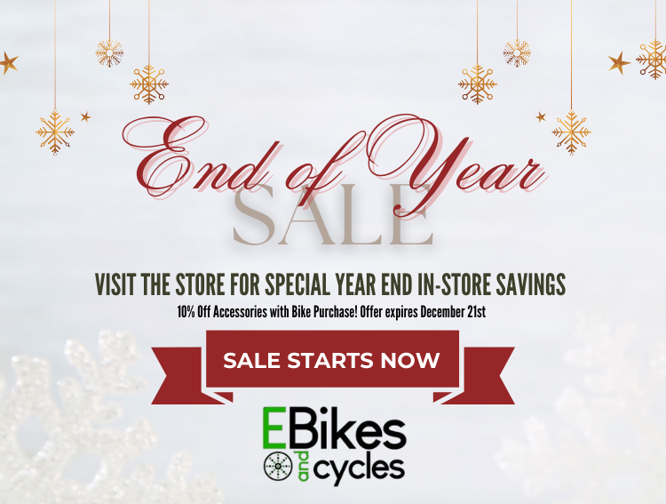 Sarasota Electric Bike