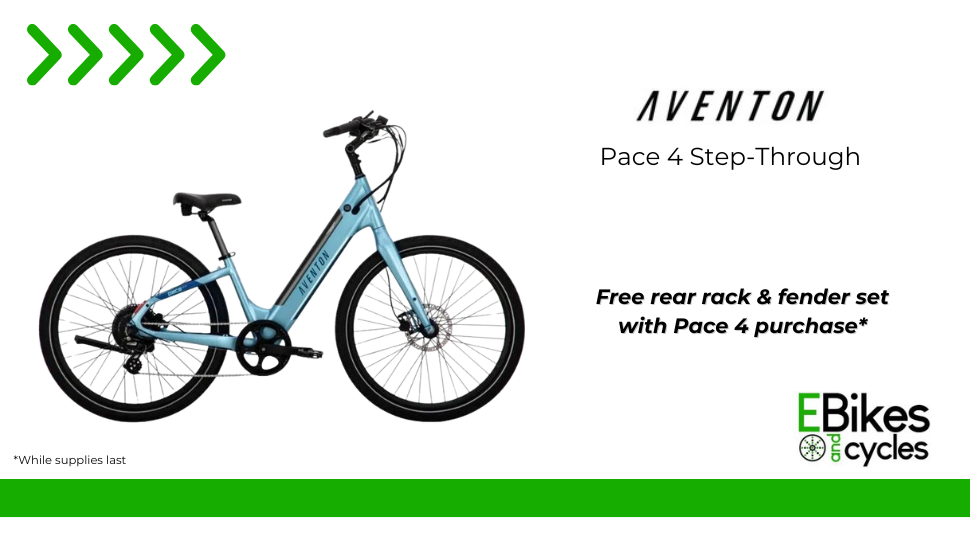 Sarasota Electric Bike