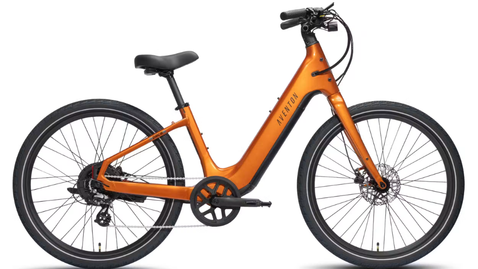 Sarasota Electric Bike