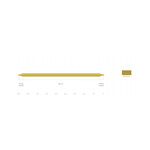 Scientific Anglers Mastery Double Taper