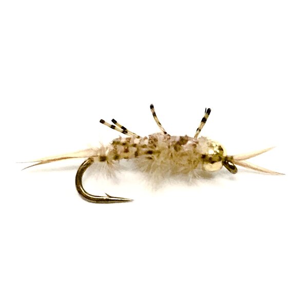 Solitude Solitude Yellow Sally Tungsten