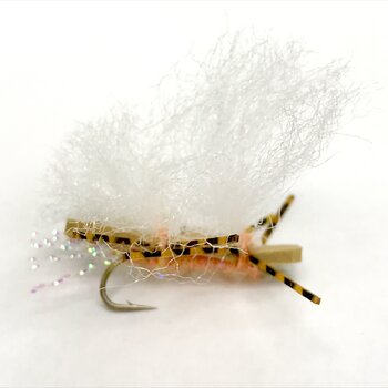 MFC MFC Chubby Chernobyl