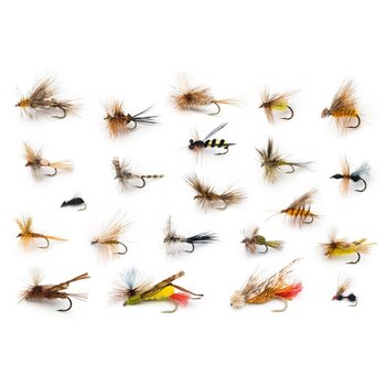 Flies