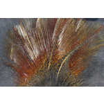 Hareline Hareline - Coq De Leon