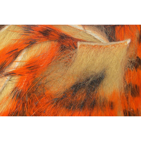 Hareline Hareline - Tiger Barred Rabbit Strips (TSR)