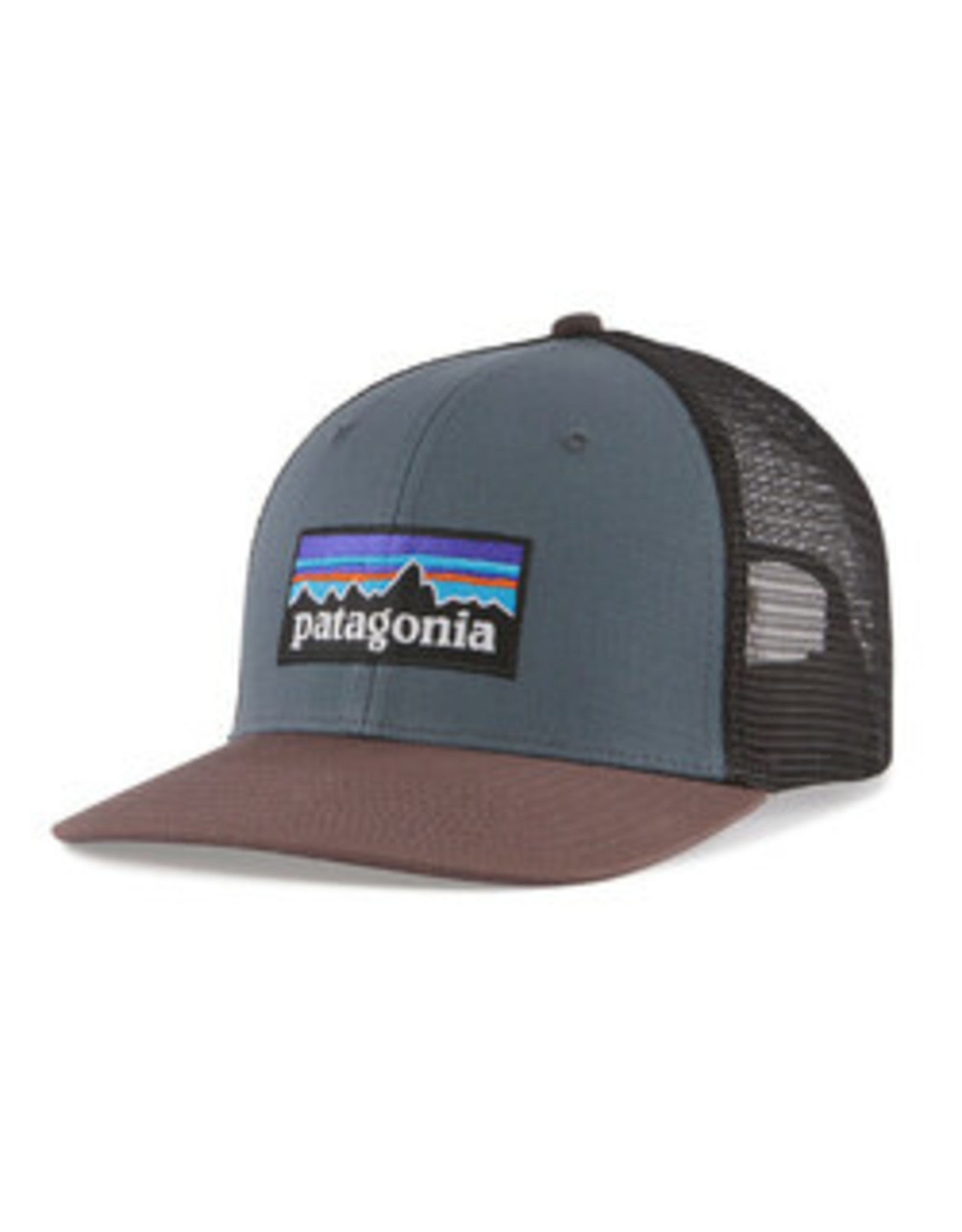 Patagonia Patagonia P-6 Logo Visor in Blue