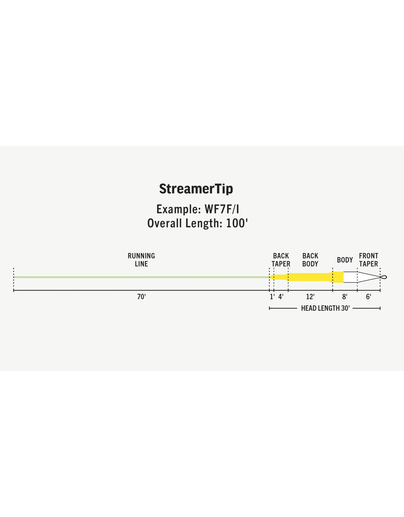 Rio Products Rio - Premier StreamerTip Fly Line