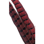 Wapsi Wapsi - Ringneck Pheasant Tail Feathers (1 Pair) (PTP)