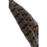 Wapsi Wapsi - Ringneck Pheasant Tail Feathers (1 Pair) (PTP)