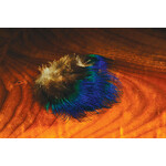 Hareline Hareline - Blue Peacock Feathers