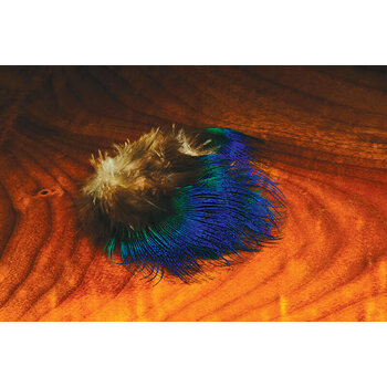 Hareline Hareline - Blue Peacock Feathers
