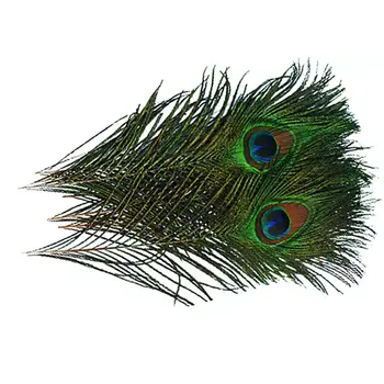Wapsi Wapsi - Peacock Eyes (PEE)