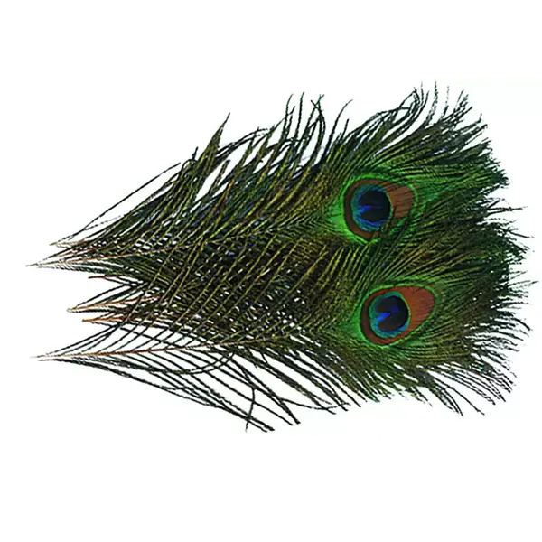 Wapsi Wapsi - Peacock Eyes (PEE)