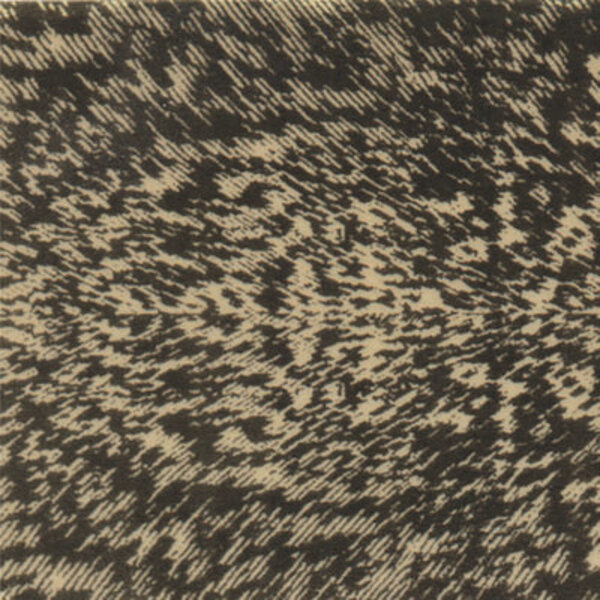 Wapsi Wapsi - Thin Skin - Mottled Oak (TSK)