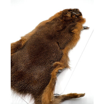 Wapsi Wapsi - Whole Pine Squirrel Skin - Whole (SS2)
