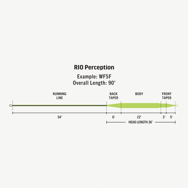 Rio Products Rio - Premier Perception Fly Line (Dis)