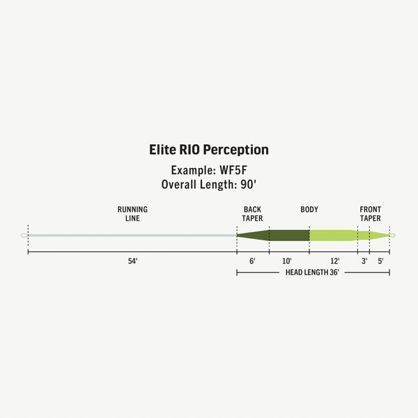 Rio Products Rio - Elite Perception