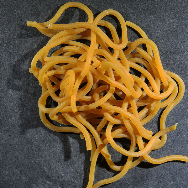 Hareline Hareline - Caster’s Squirmito (CSQ)