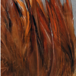 Hareline Hareline - 5-7” Dyed Over White Strung Saddle Hackle