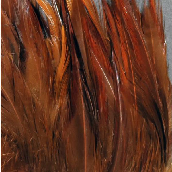 Hareline Hareline - 5-7” Dyed Over White Strung Saddle Hackle