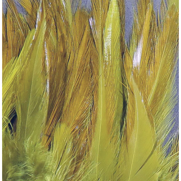 Hareline Hareline - 5-7” Dyed Over White Strung Saddle Hackle