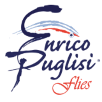 Enrico Puglisi