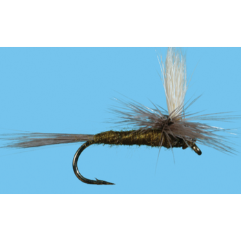 Solitude Solitude - Parachute BWO