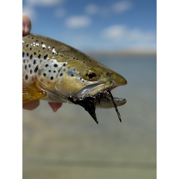 Mountain Anlger Chapman's - Schloppy Toppy -  3 Pack