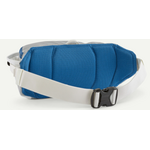 Patagonia Black Hole Waist Pack 5L (New)