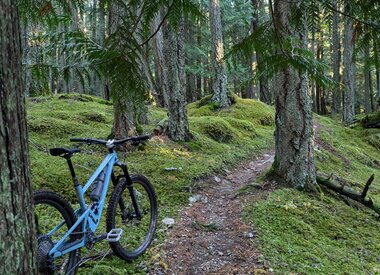 Full Suspension Mountain Bikes