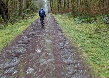 Gravel + Road Bikes