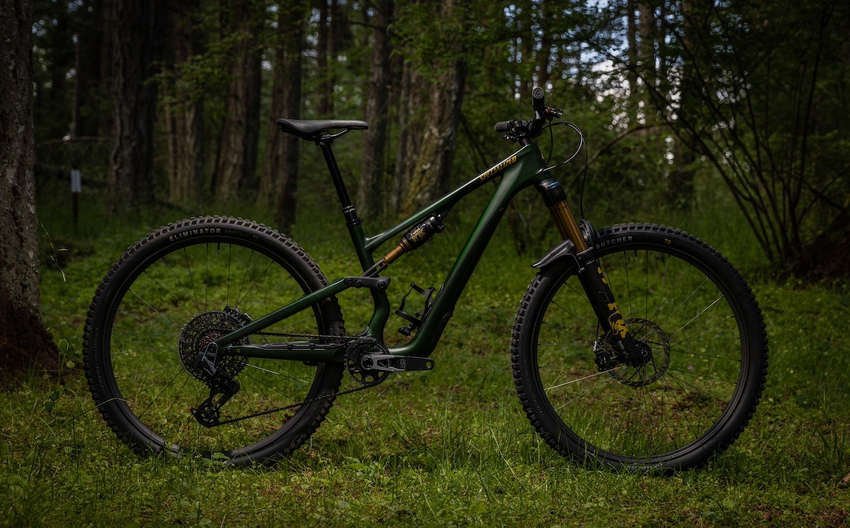Stumpjumper Evo
