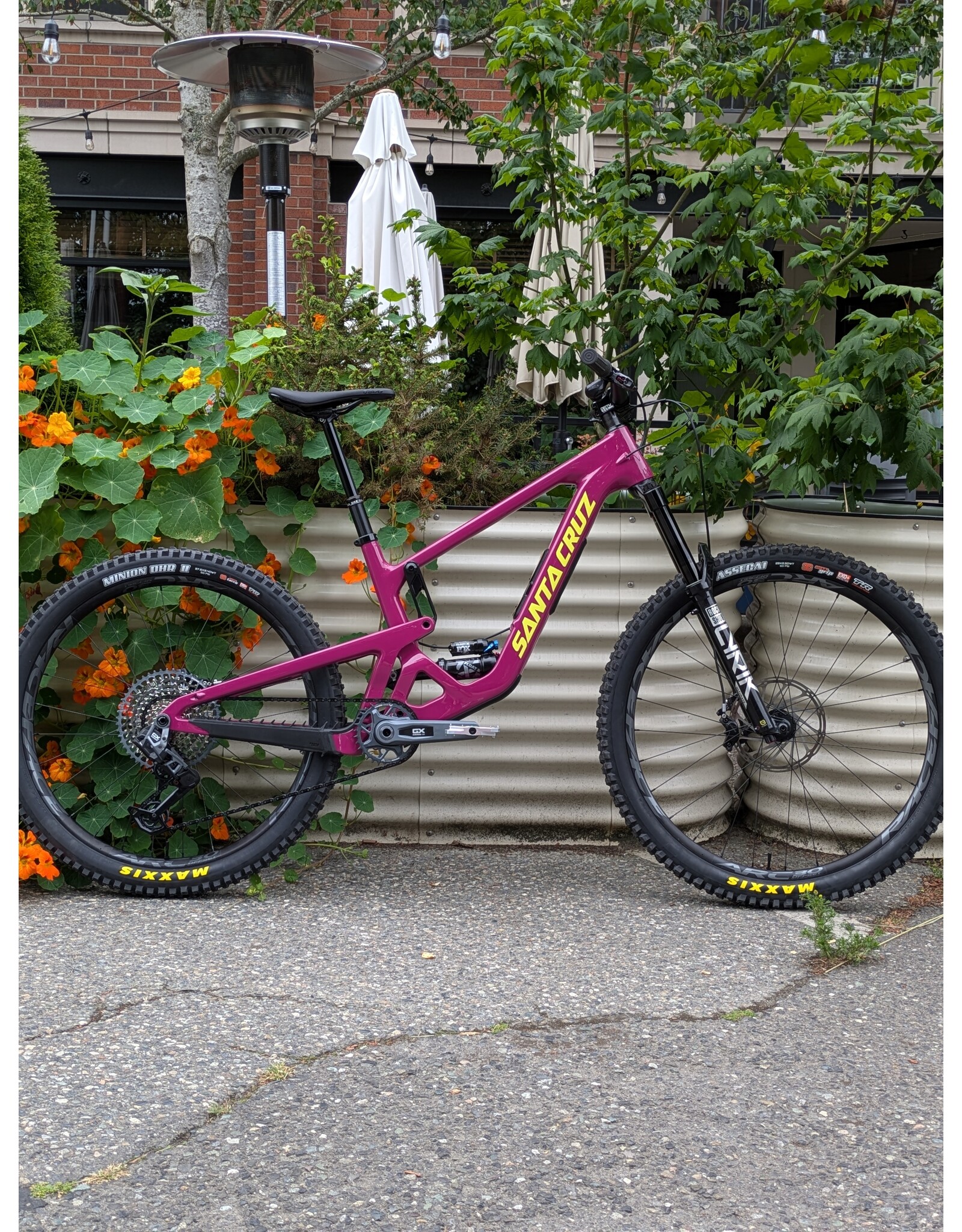 Santa Cruz Bronson 5 C Custom Kalimotxo Medium