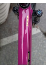 Santa Cruz Bronson 5 C Custom Kalimotxo Medium