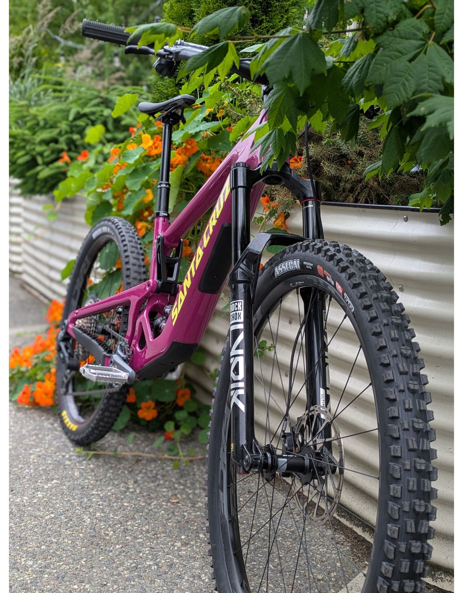 Santa Cruz Bronson 5 C Custom Kalimotxo Medium