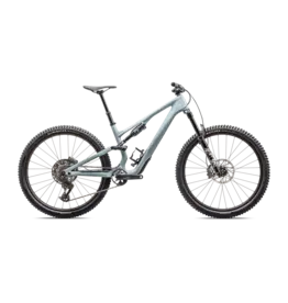 Specialized Stumpjumper 15 Comp Carbon
