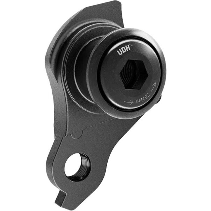 SRAM,  UDH Derailleur Hanger, Black.