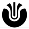 Ultradynamico