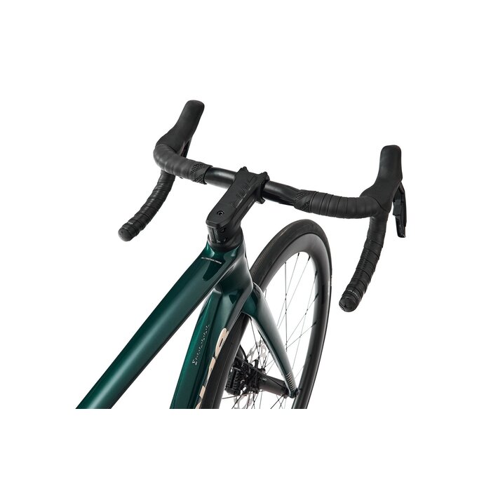Argon 18 Argon 18 Sum Force AXS