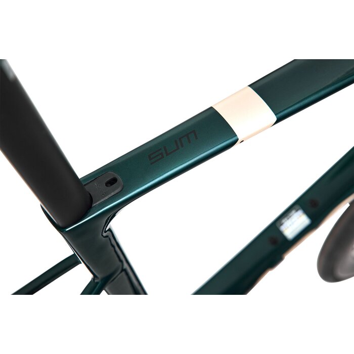Argon 18 Argon 18 Sum Force AXS