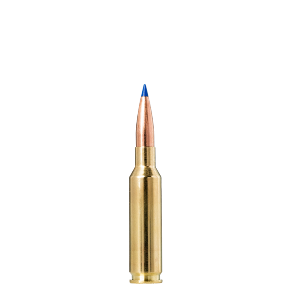 Rifle Ammunition - Law Enforcement Distribution Specialist